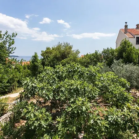 Tetepave 3* Dubrovnik